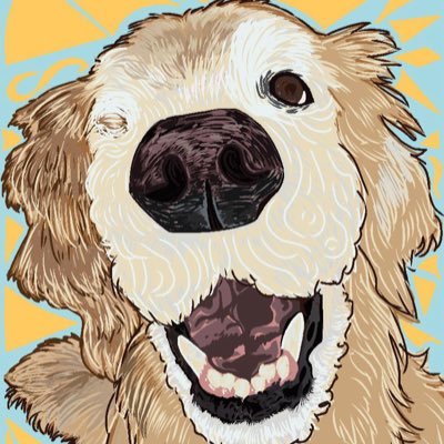 Bailey: the Therapy Dog