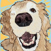 Bailey: the Therapy Dog