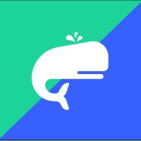 Kalshi and Polymarket WhaleWatch