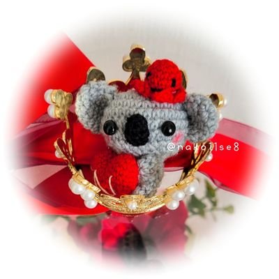 nako🐨🌹🐙✦ฺ₊