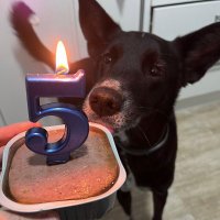 UDA desde Altiplano.