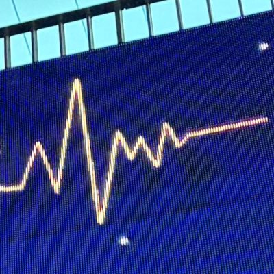 やまねこ🪵🔥うるわし