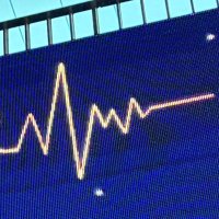 やまねこ🪵🔥うるわし