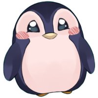 Pilou le meilleur streamer