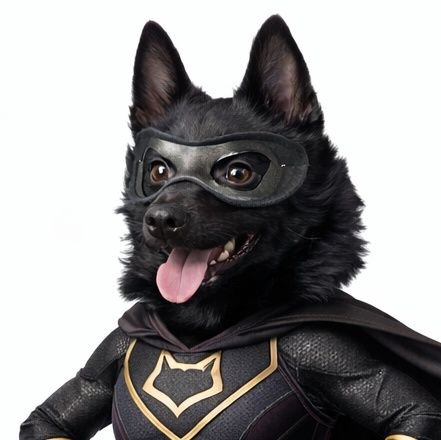 Rhona ... I am the Batgirl!