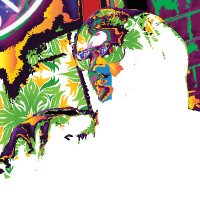 Fro Bro Mobile Tech Services