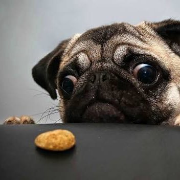 SurgicalExcellenceThe3rd.0