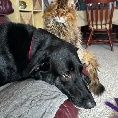 Stephanie Ann 💚🦌💚