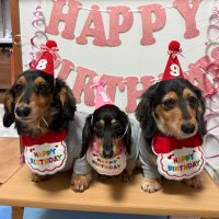 かりんはマンジャロダイエット5mg－17.2kg更新中