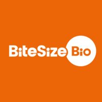 Bitesize Bio