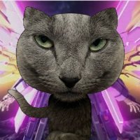 🐈‍⬛舞い降りるロシブ😺🪽