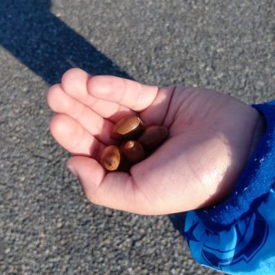 どんぐりころころ