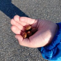 どんぐりころころ