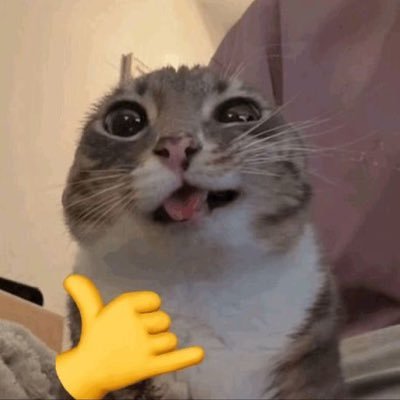 kujitoma | comms open