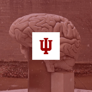 IU Psychological and Brain Sciences