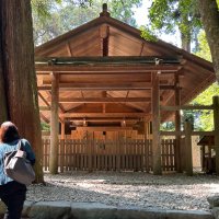 ６０歳からの実験ノート