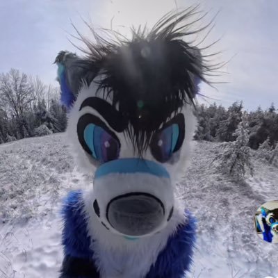 That 360 Furry