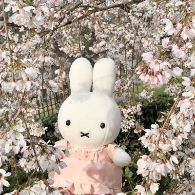 rieྀིྀིྀིྀིྀི