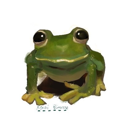 koral (🇦🇱free Palestine 🇵🇸)