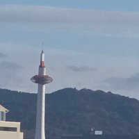 ランラン(ポヨーン改め)