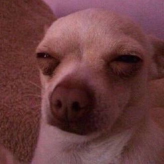 เมื่อยแฮง 🫠