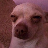 เมื่อยแฮง 🫠