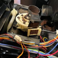 Dallas MieleSpecialist