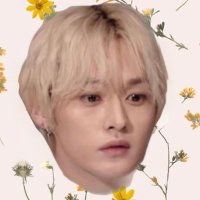 nopebunnyfics ❀ ˖˚ ༘𐙚