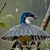 Özgür usta,,Esir yaşam