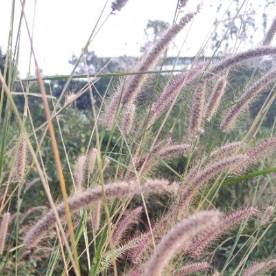 White T shirt Blue Jeans