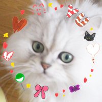 もこもこねくすtea🌈🌲🪨