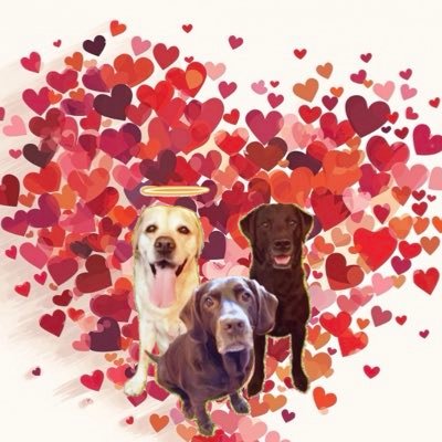 Angel Henry, Olly and Beth