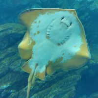 グラント・ヴィットマン🗡️🍷🗡️