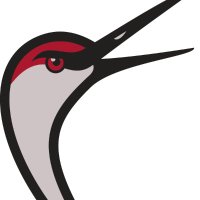 Grand Island Fightin' Cranes