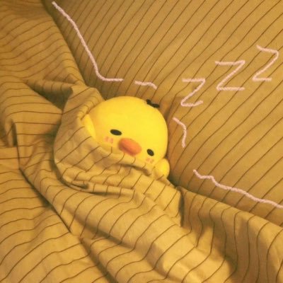 𝘮𝘦𝘭𝘰𝘯 ♡˙ᵕ˙♡