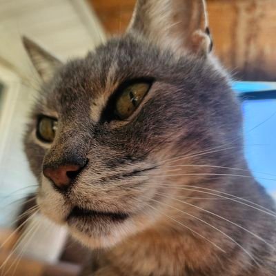 리타,rit.,94번고사리🌿