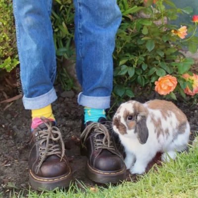 ˗ˏˋ🐰‿ 𝑐ℎ𝑖𝑜