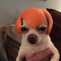 บะลั่กบะลั่ก