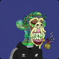 合肥|瑶海|庐阳|蜀山|包河|长丰|肥东|肥西|庐江|巢湖