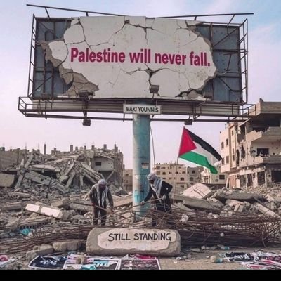 Mahmoud|مًحًمًوٌدٍ 🇵🇸🕊