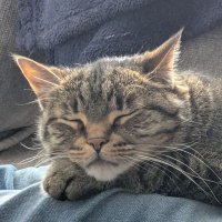 AJEFM🌞🕊️❤️