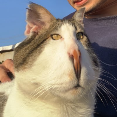 PAPITO MAÑANA SUBE EL SEMEN