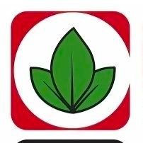 JORGE LUIS ALCANTARA