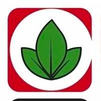 JORGE LUIS ALCANTARA