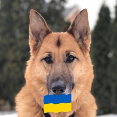 Sassenach ๐จ๐ฆ๐ด๓ ง๓ ข๓ ณ๓ ฃ๓ ด๓ ฟ๐บ๐ฆ๐ณ๏ธโ๐๐๐