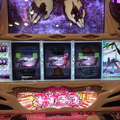 TWIN🐈️🐈‍⬛🐾🦒🐅🩵