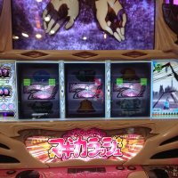 TWIN🐈️🐈‍⬛🐾🦒🐅🩵