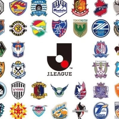 イルカしゃん藤枝MYFCサポーター兼ボランティア