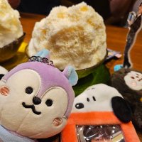 てん🐿🌱𝘩𝑜𝑏𝑖💚ミ