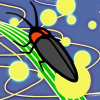 鳴蛍しかと（なきぼたる しかと）